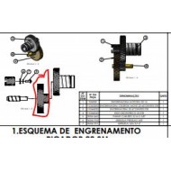 ENGRENAGEM CELERON PARA PICADOR CAF 22 60DENTES  MODELO TRADICIONAL