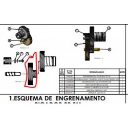 ENGRENAGEM CELERON PARA PICADOR CAF 22 60DENTES  MODELO TRADICIONAL